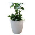 Wholesale Artificial Planter Pot for Garden